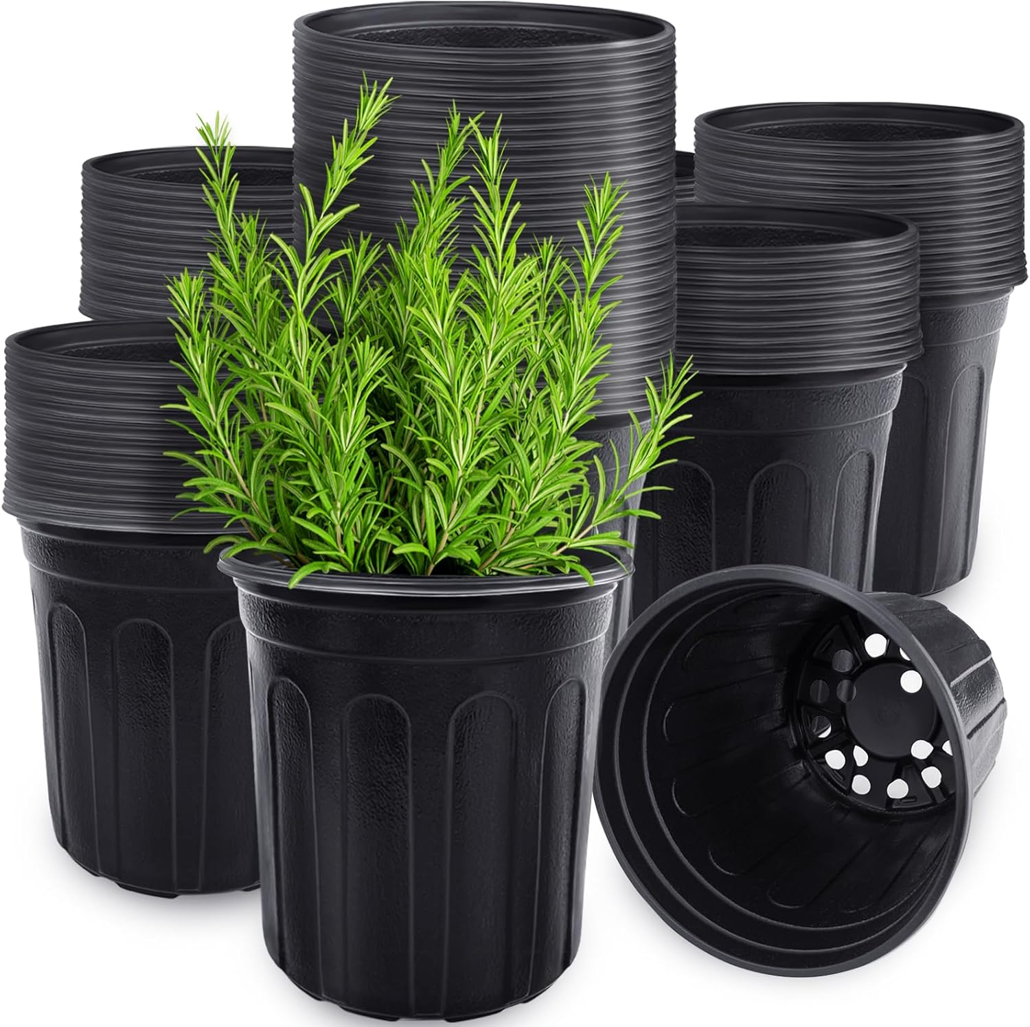 Food Storage Plants - 60 Pcs 1 Gallon Flexible Plant