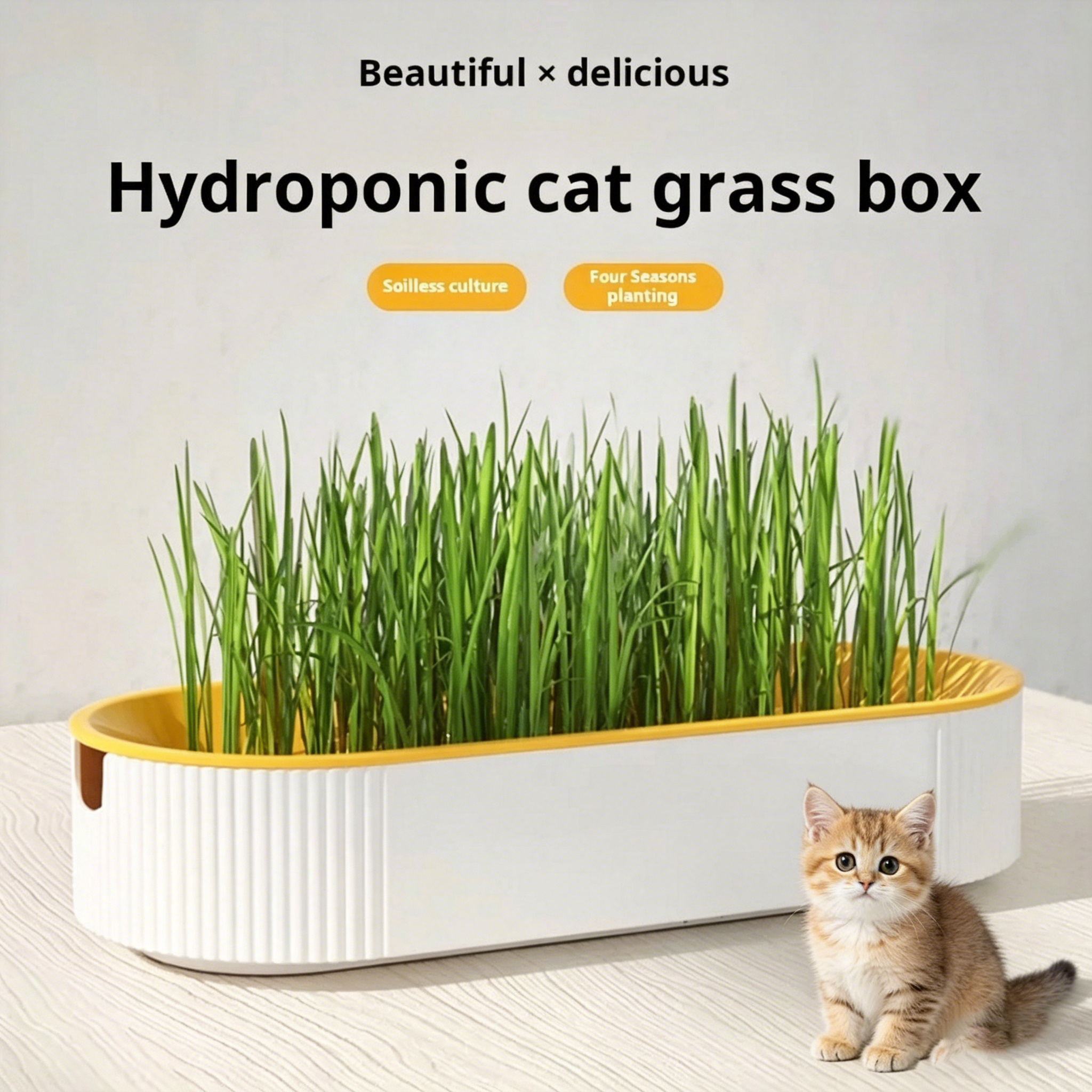 Easy Growth Hydroponic Cat Gra - Food Storage Plants 评论和价格
