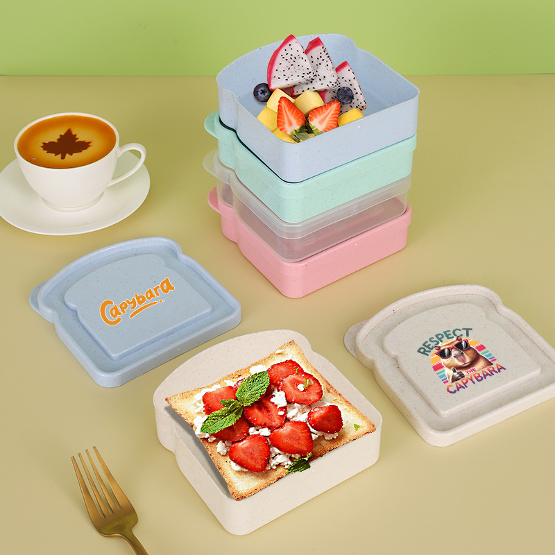 Capybara Sandwich Food Storage - Food Storage Lunch Box 评论和价格