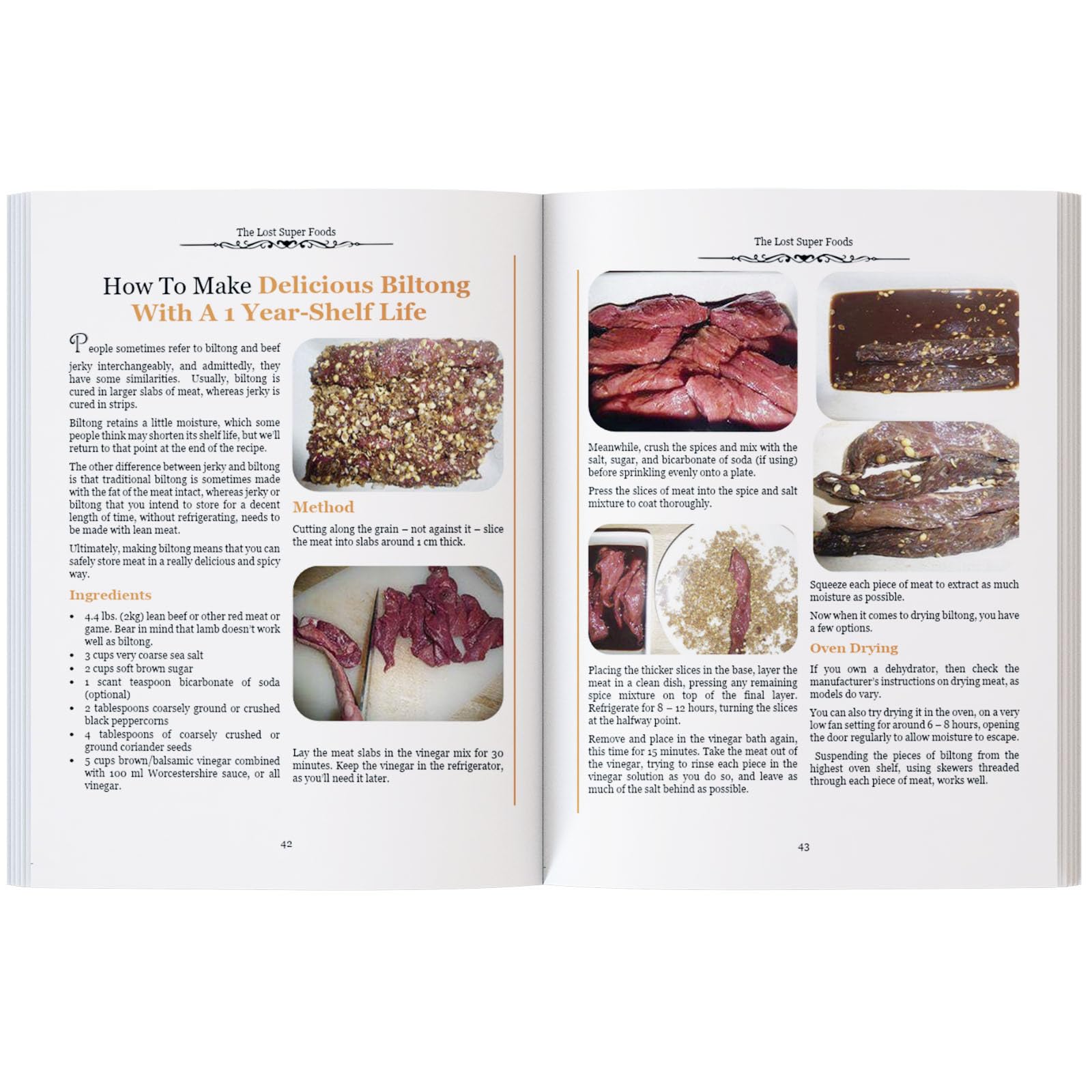 The Lost SuperFoods Book - 126 - Food Storage Guide 评论和价格