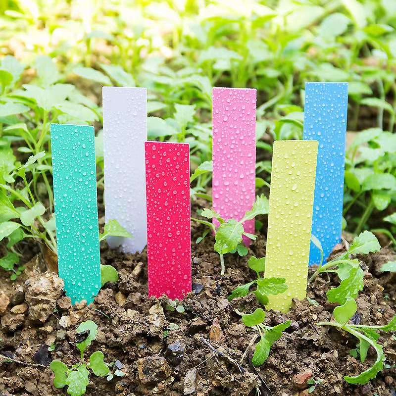 100Pcs Garden Plant Labels Pla - Food Storage Plants 评论和价格