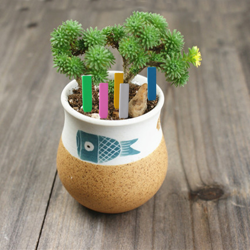 100Pcs Garden Plant Labels Pla - Food Storage Plants 评论和价格