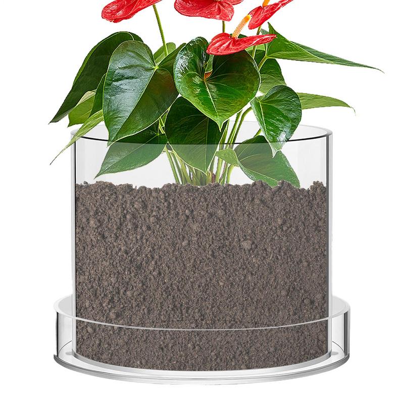 Clear Plant Pots With Drainage - Food Storage Plants 评论和价格