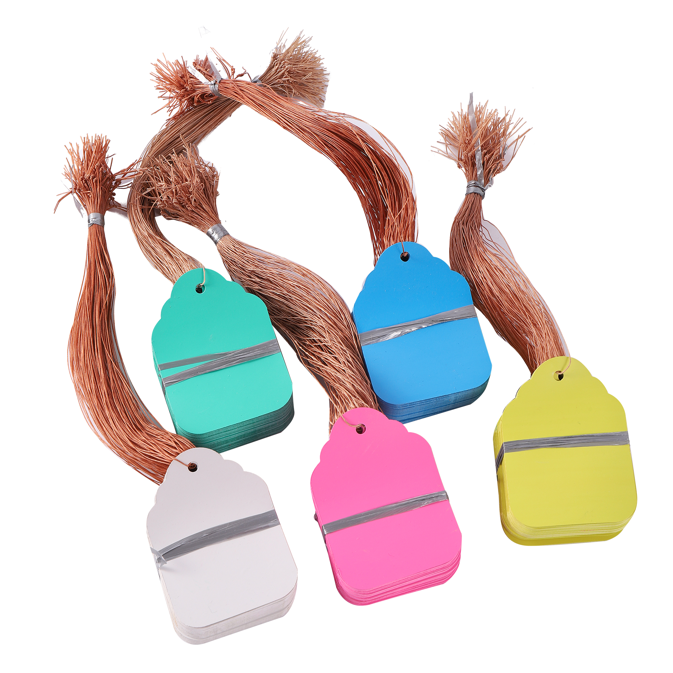 100Pcs/Lot Plants Hanging Plan - Food Storage Plants 评论和价格