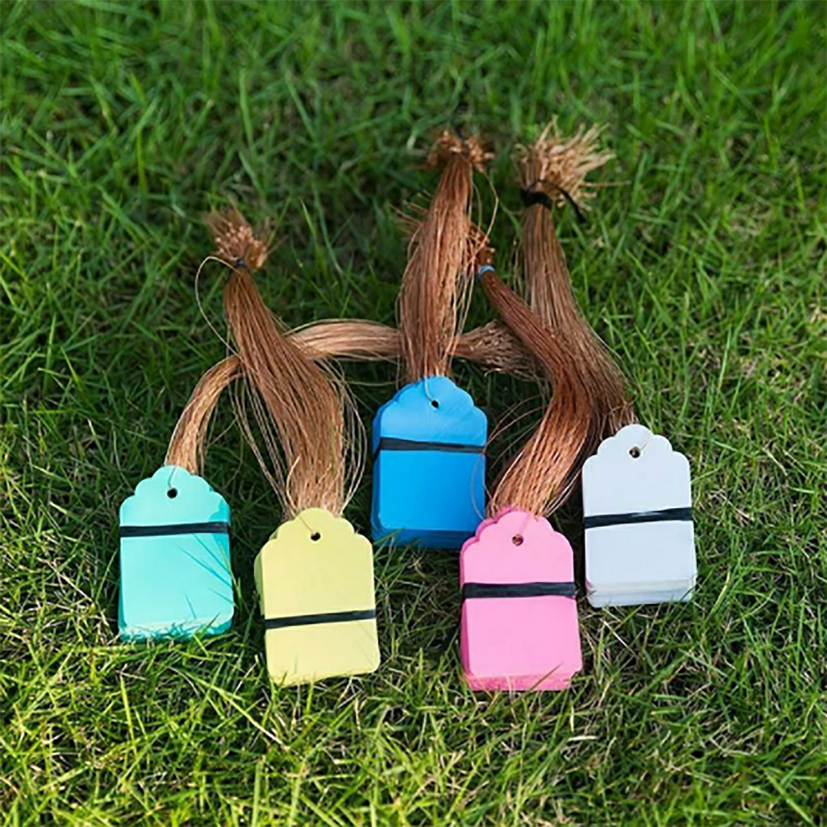 100Pcs/Lot Plants Hanging Plan - Food Storage Plants 评论和价格
