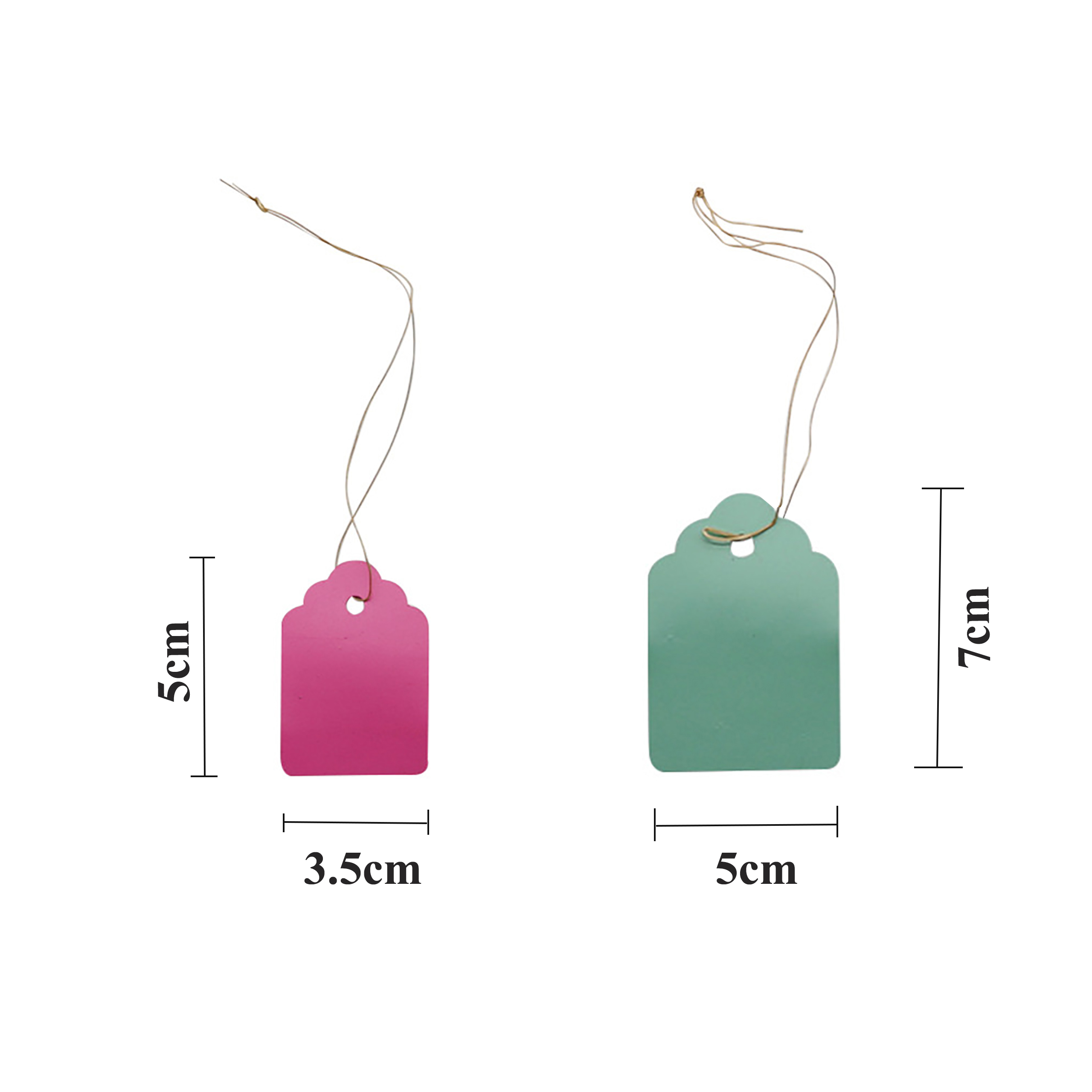 100Pcs/Lot Plants Hanging Plan - Food Storage Plants 评论和价格