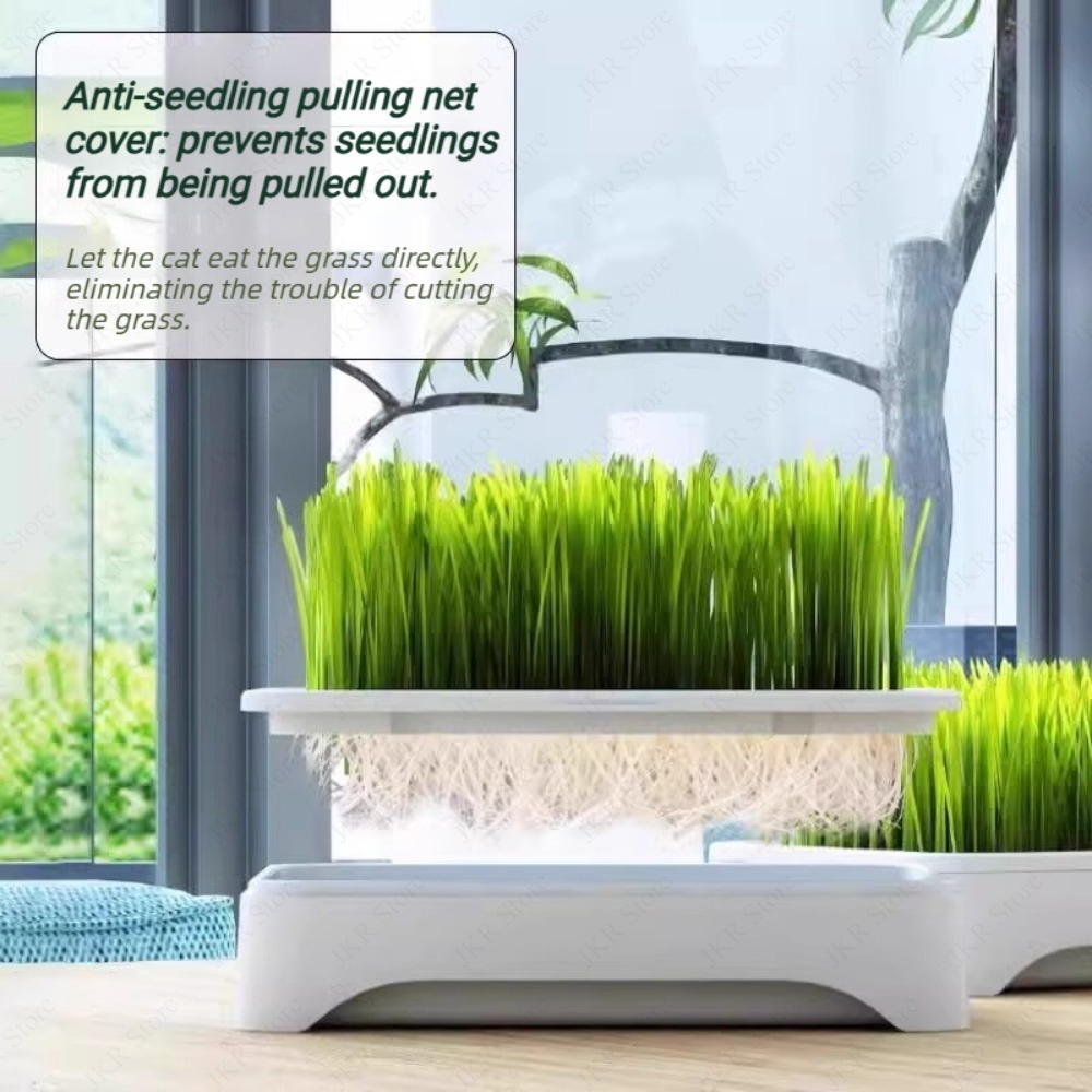 Indoor Pet Cat Grass Planter P - Food Storage Plants 评论和价格