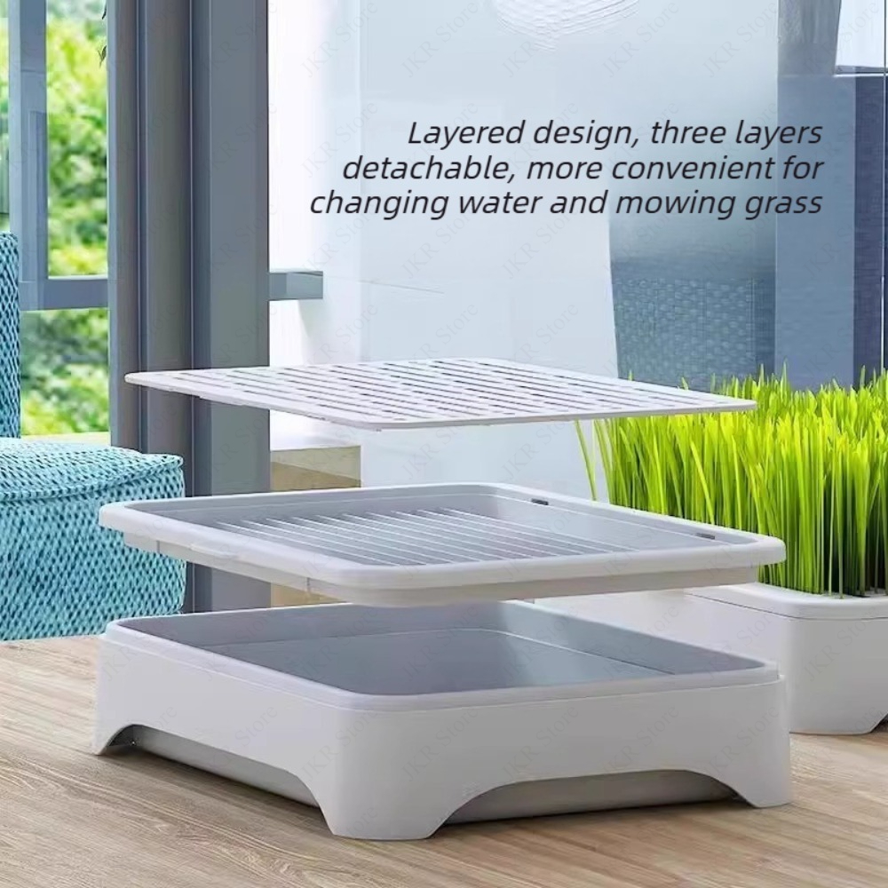 Indoor Pet Cat Grass Planter P - Food Storage Plants 评论和价格