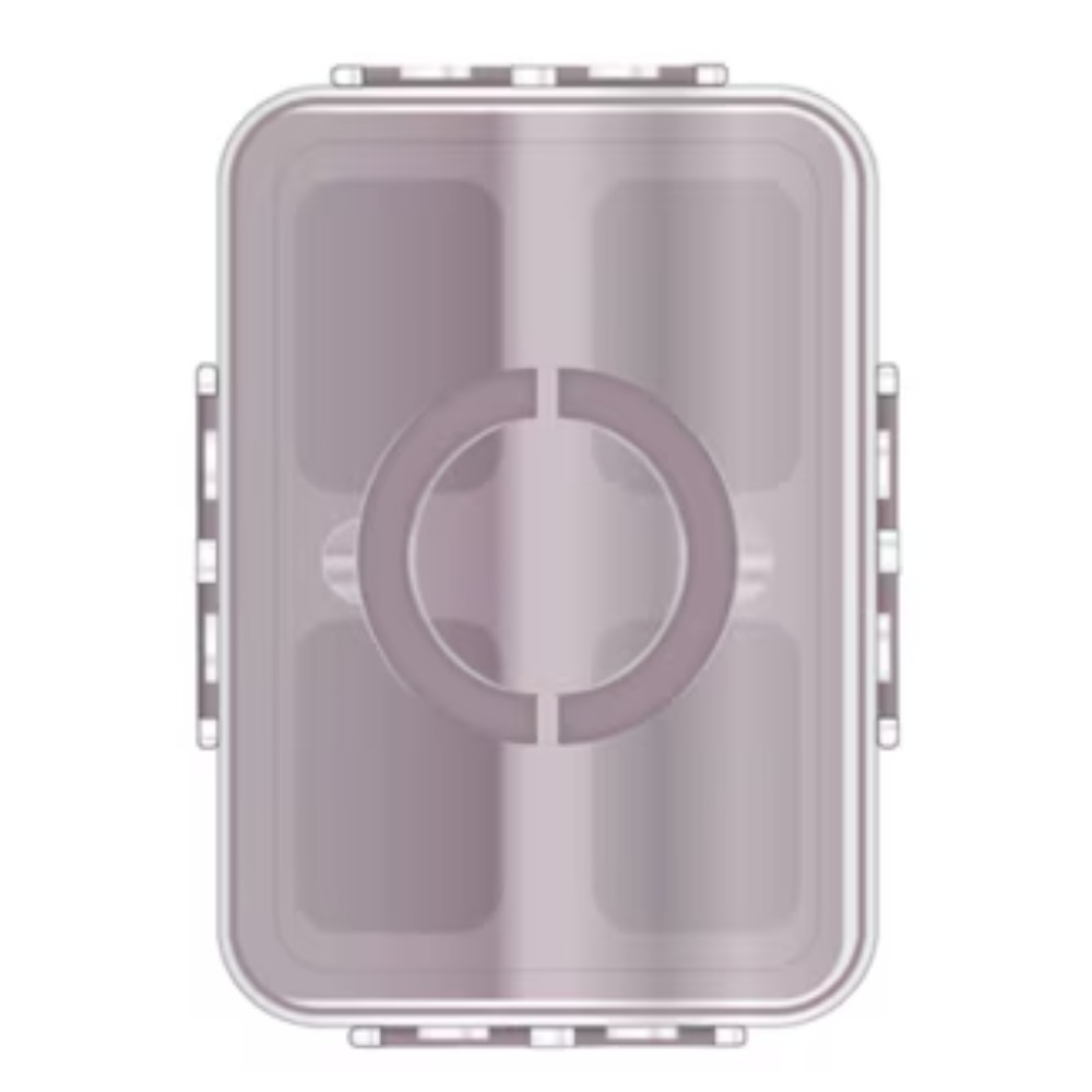 4-Compartment Mini Snack Box F - Food Storage Lunch Box 评论和价格