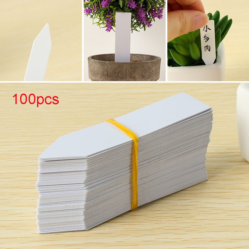 100Pcs Reusable Classification - Food Storage Plants 评论和价格