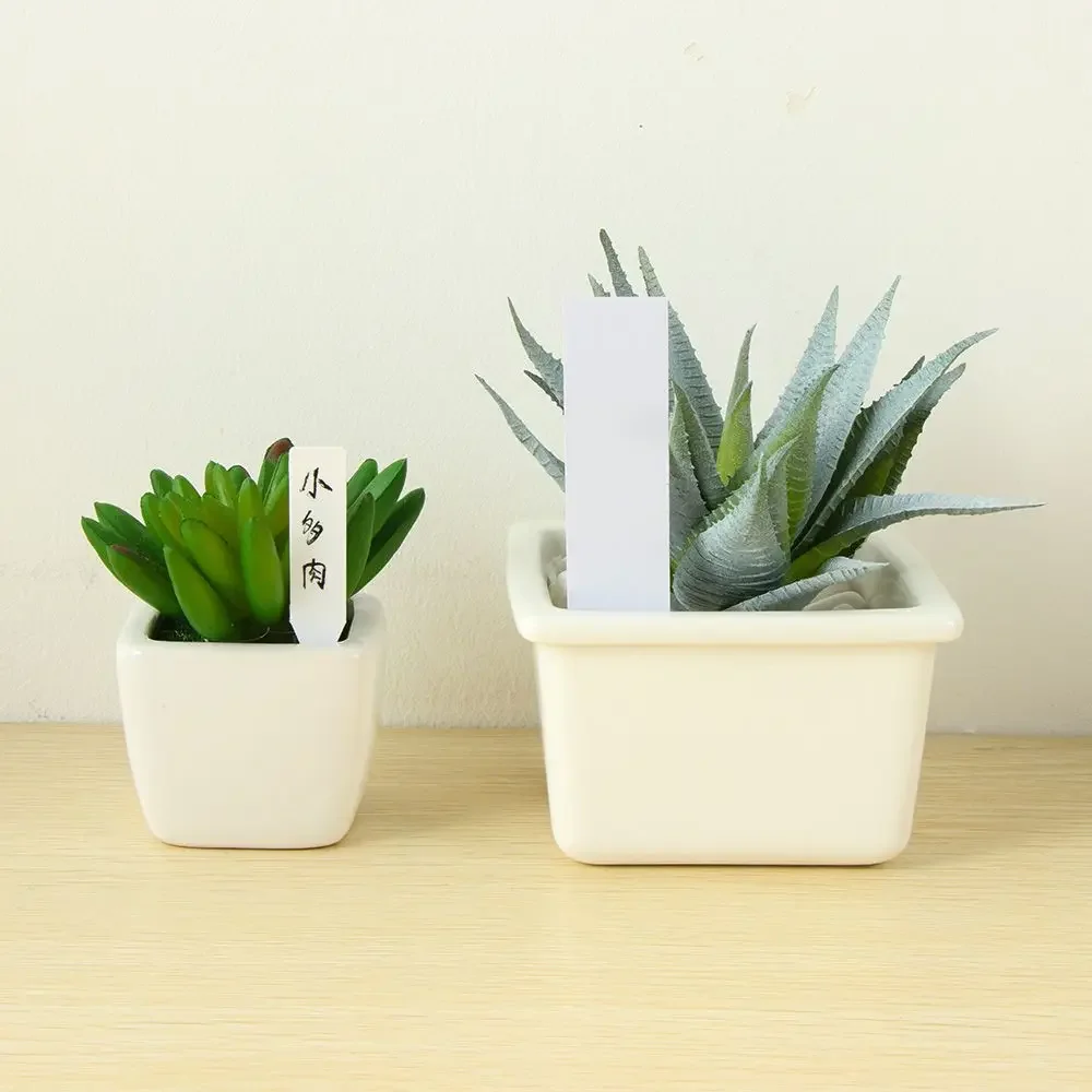 100Pcs Reusable Classification - Food Storage Plants 评论和价格