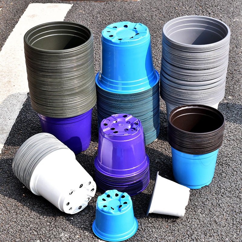 100Pcs Color Plastic Flowerpot - Food Storage Plants 评论和价格