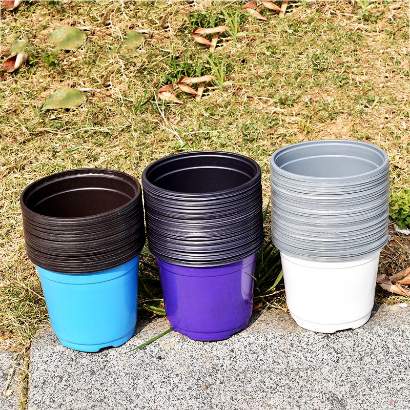 100Pcs Color Plastic Flowerpot - Food Storage Plants 评论和价格