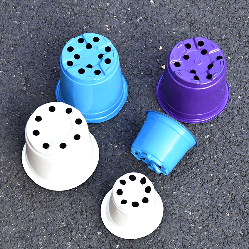 100Pcs Color Plastic Flowerpot - Food Storage Plants 评论和价格